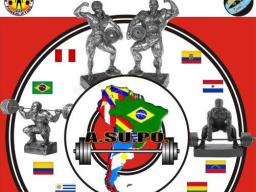 2011 - Sudamericano